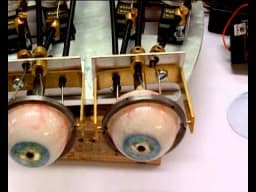 Ochi animatronici mecanici