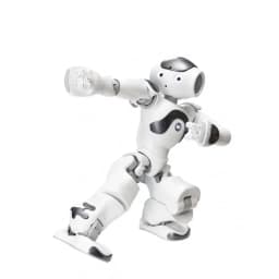 Nao Robot