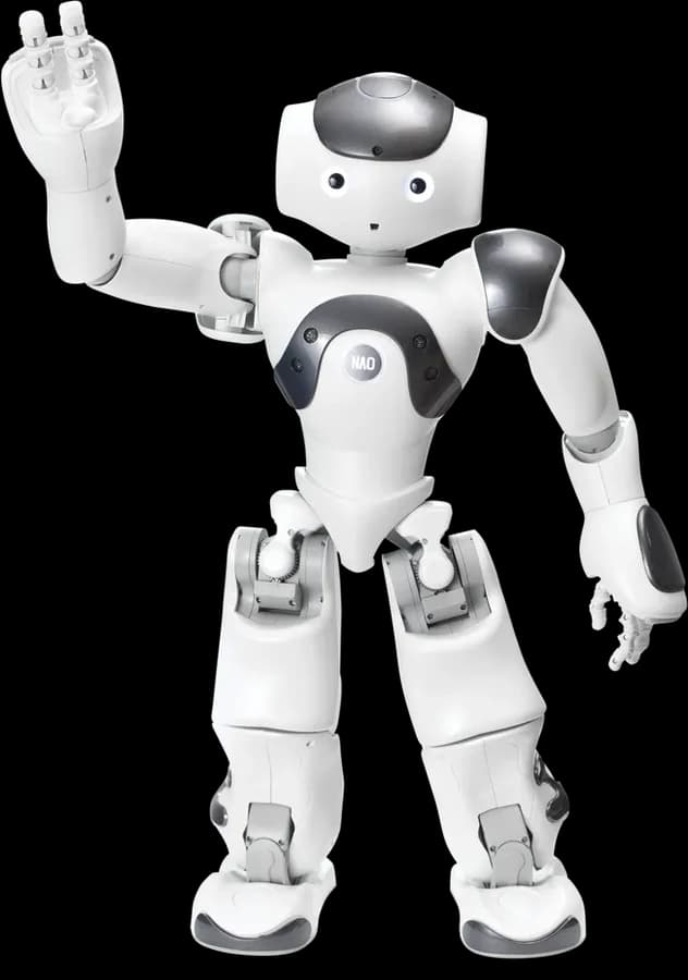 Robotul umanoid NAO