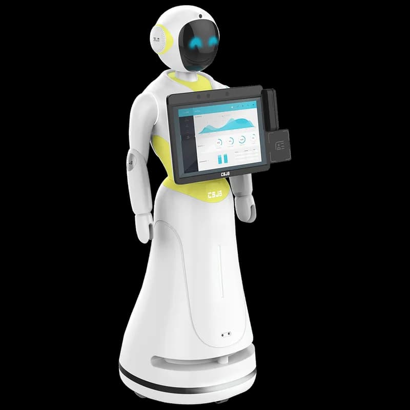 Alice Robot