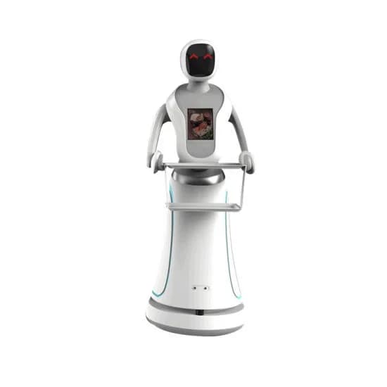Amy - Robot Chelner