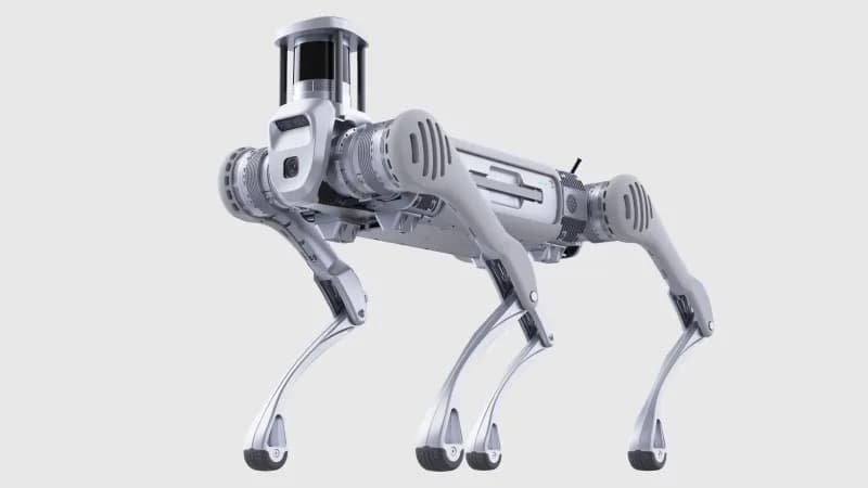 Unitree Robot Dog B2