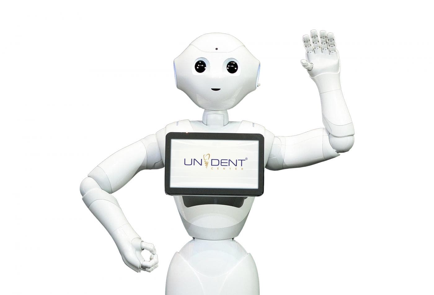 pepper robot unident|pepper robot unident