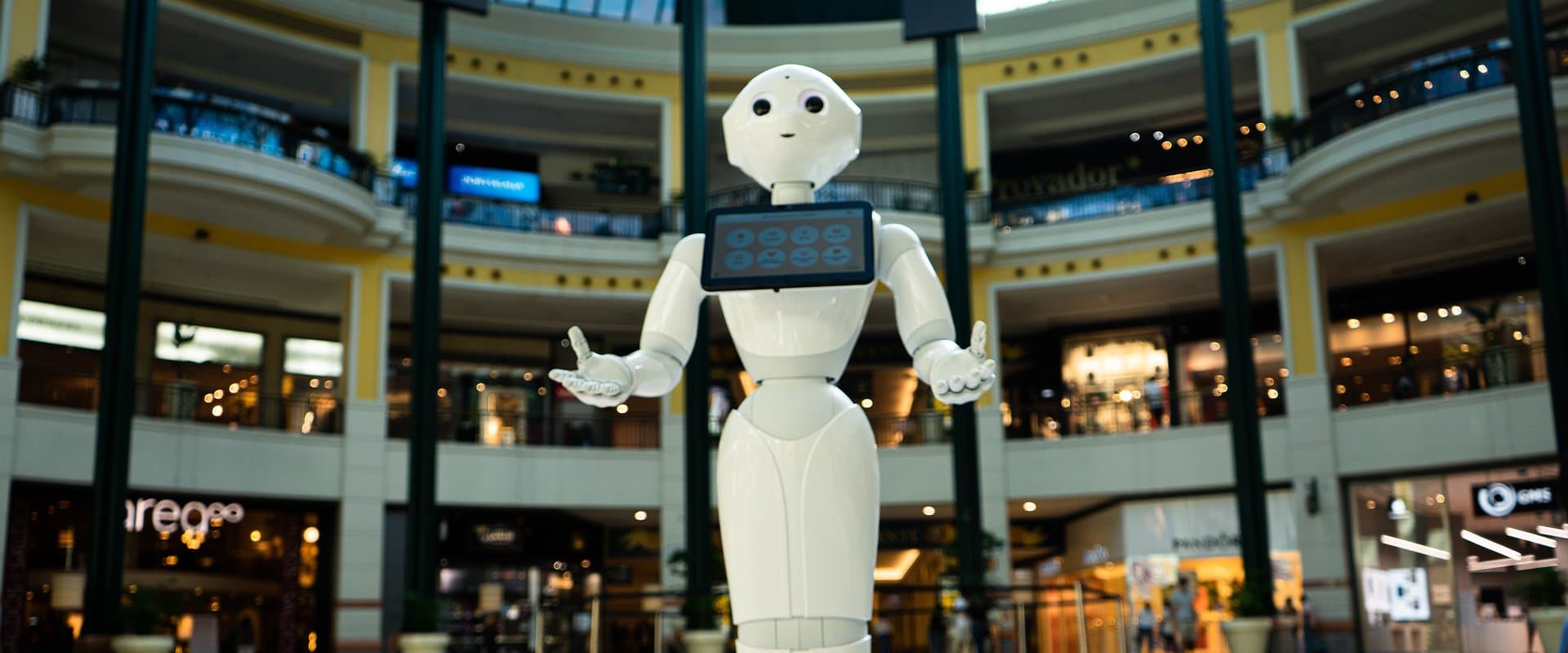 |Pepper robot la city mall