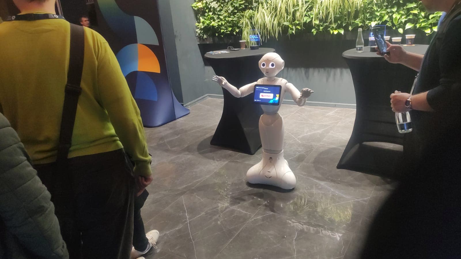 |pepper la dell|Pepper robot la DELL||
